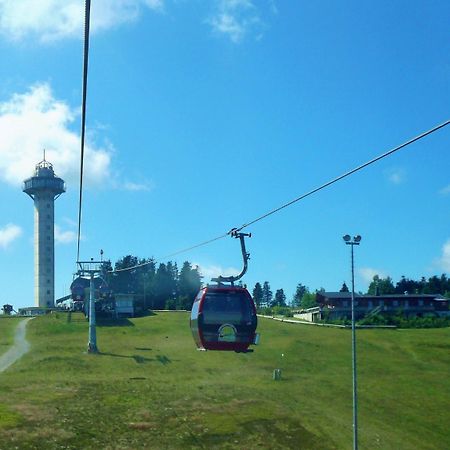 Komfort-Fewo Ettelsberg-Panorama Willingen  Exteriör bild