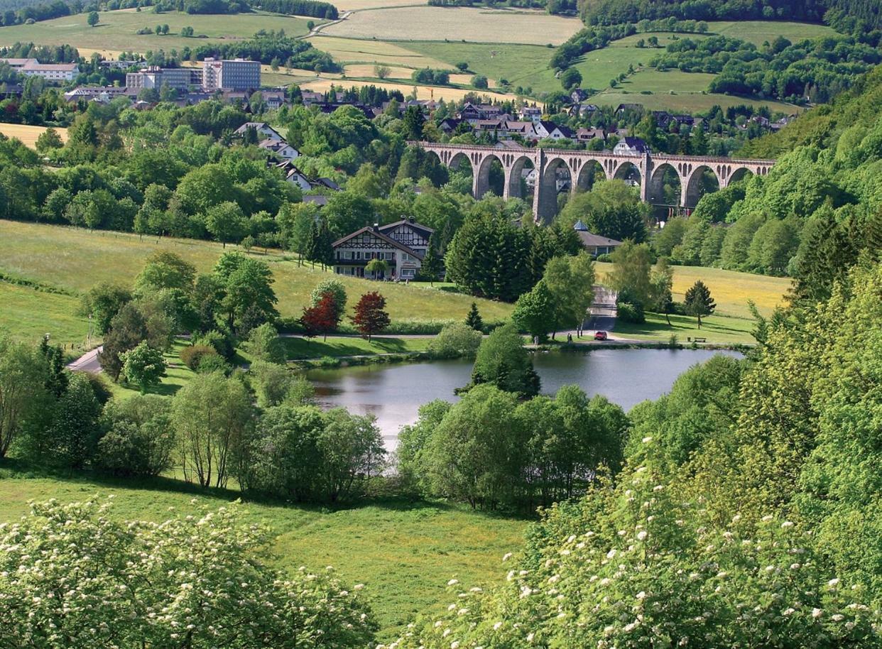 Komfort-Fewo Ettelsberg-Panorama Willingen  Rum bild