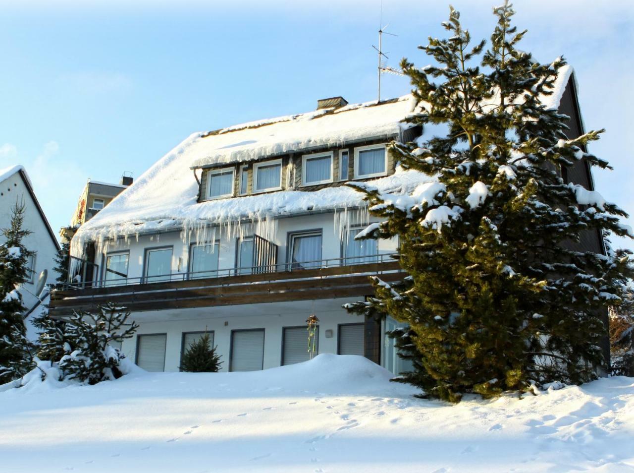 Komfort-Fewo Ettelsberg-Panorama Willingen  Rum bild