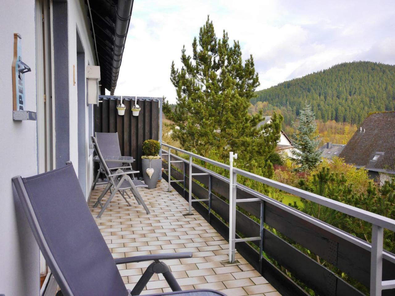 Komfort-Fewo Ettelsberg-Panorama Willingen  Rum bild